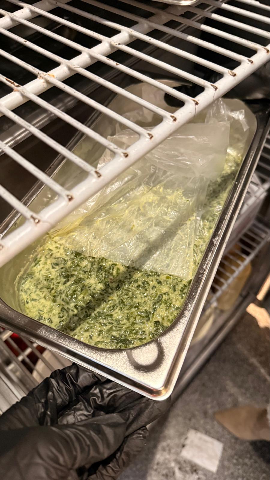 WhatsApp Image 2026-01-21 at 17.01.12 (1)