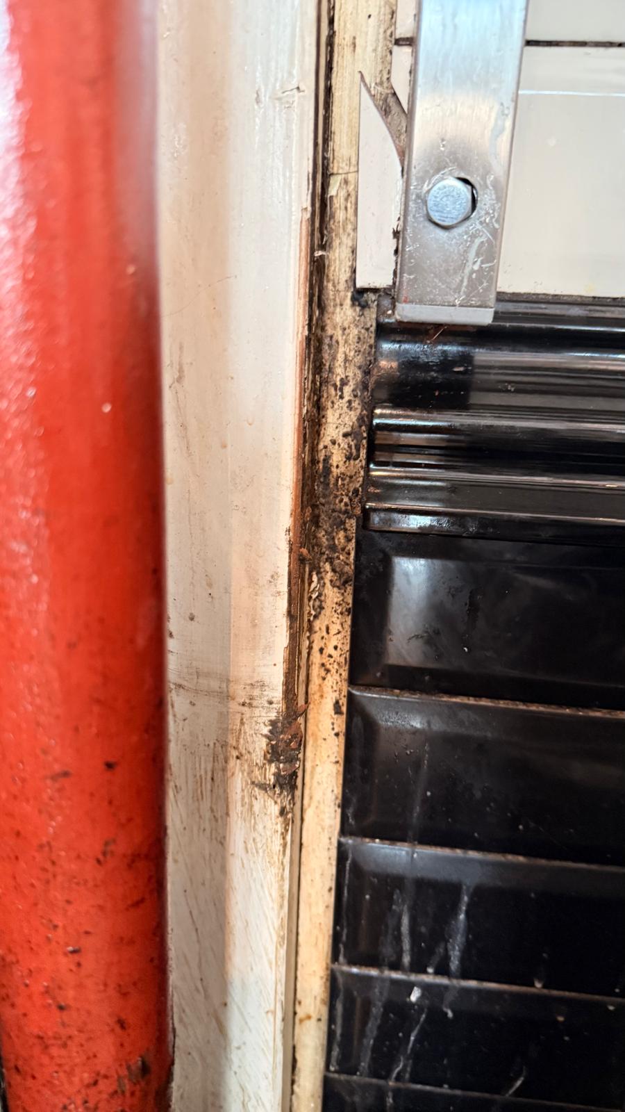 WhatsApp Image 2026-01-21 at 17.01.10 (2)