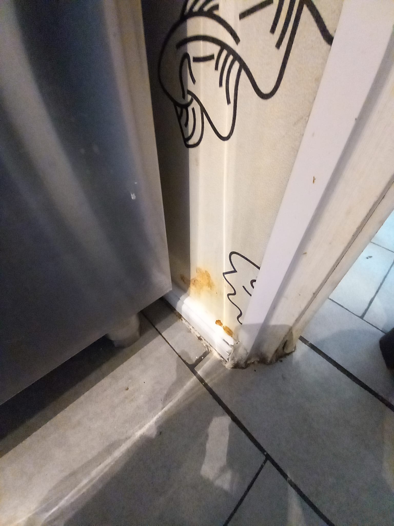 WhatsApp Image 2026-01-21 at 17.01.06