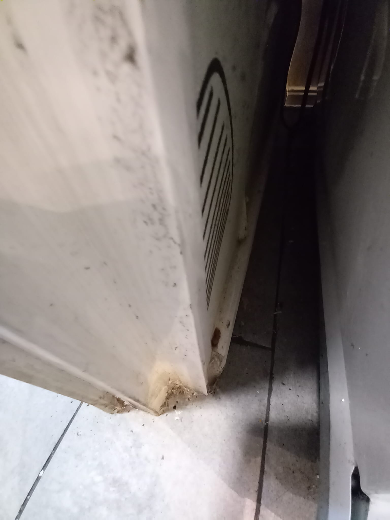 WhatsApp Image 2026-01-21 at 17.01.07