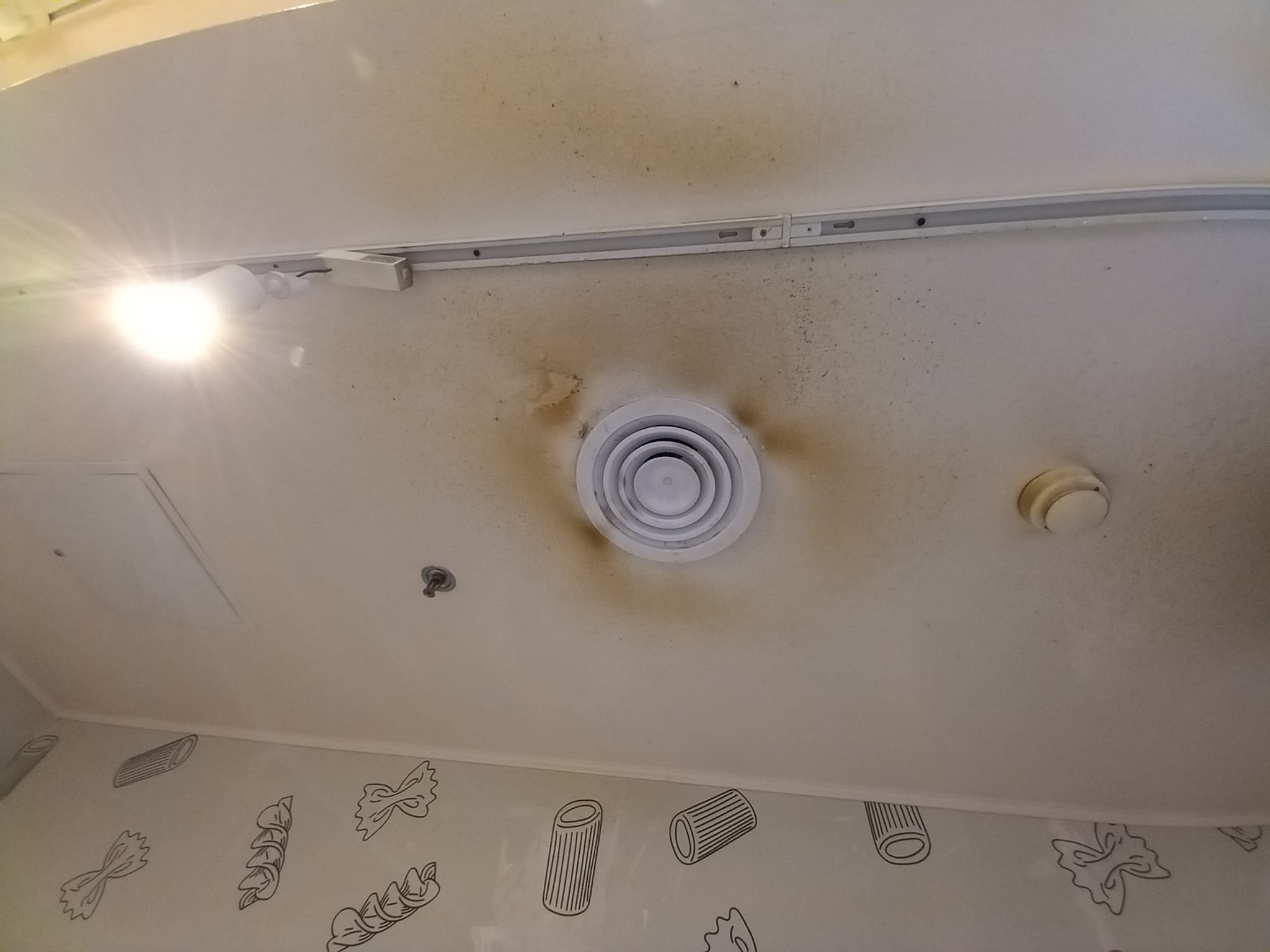 WhatsApp Image 2026-01-21 at 17.01.04