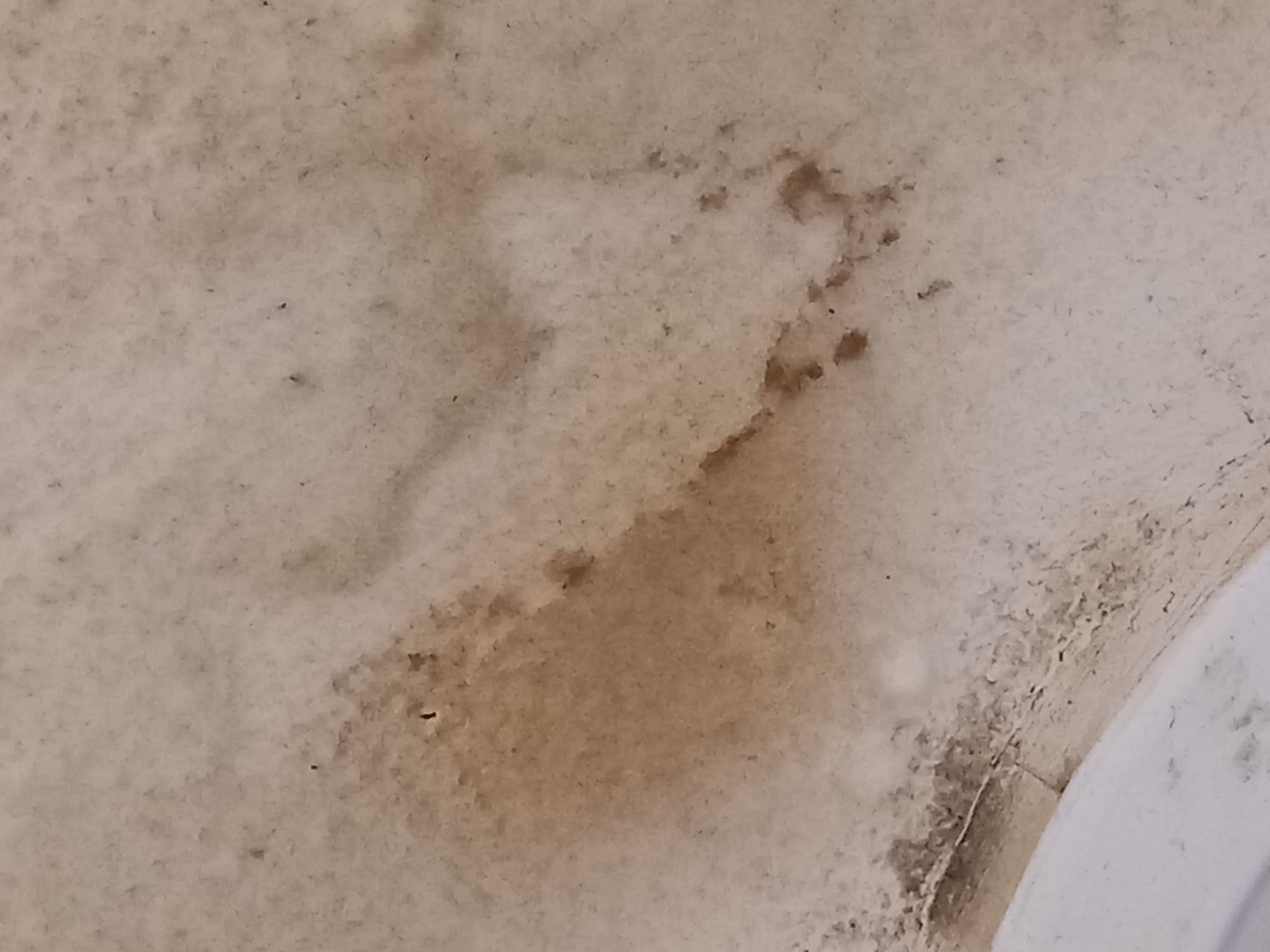 WhatsApp Image 2026-01-21 at 17.01.03 (1)