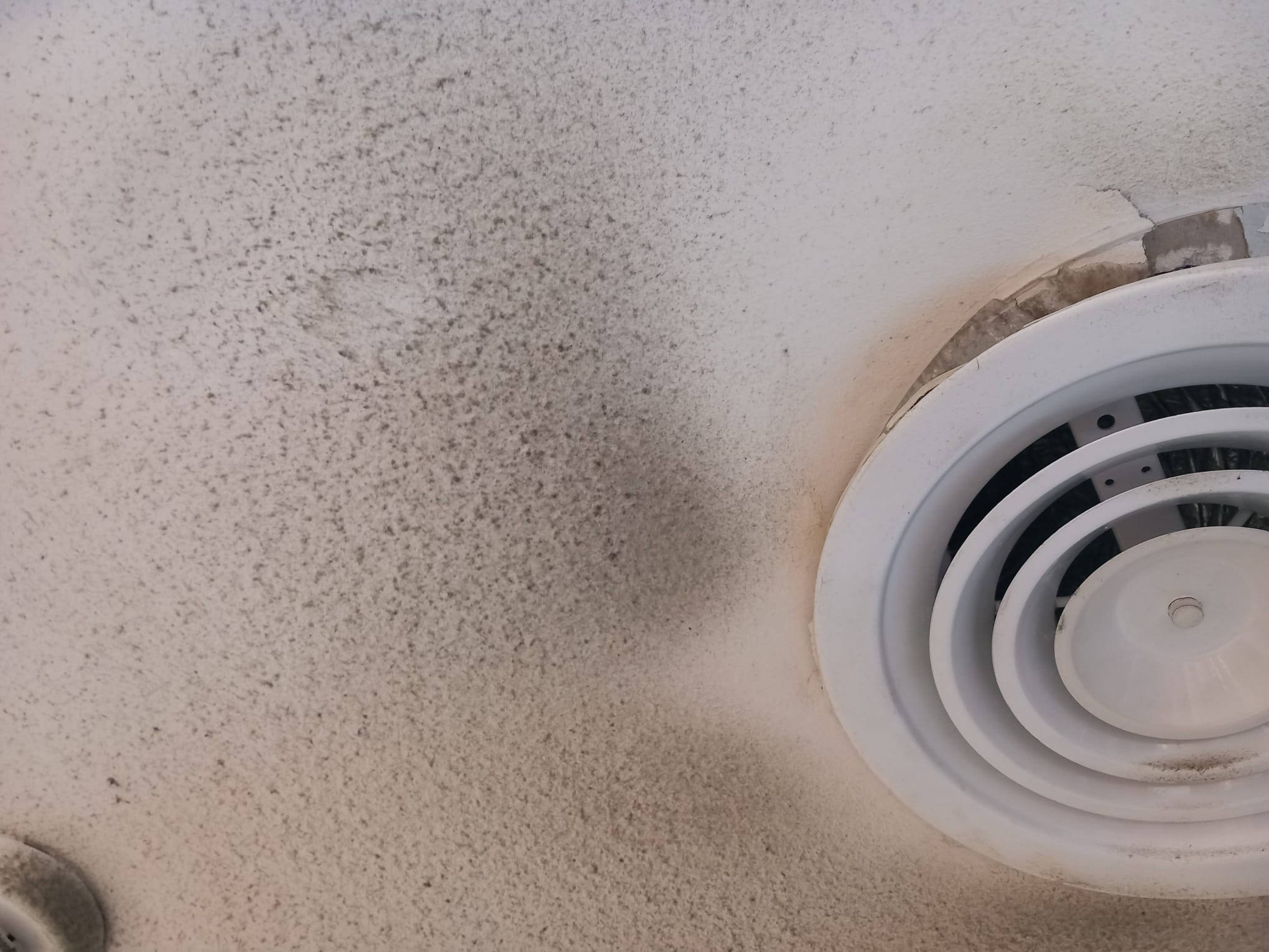 WhatsApp Image 2026-01-21 at 17.01.03 (2)