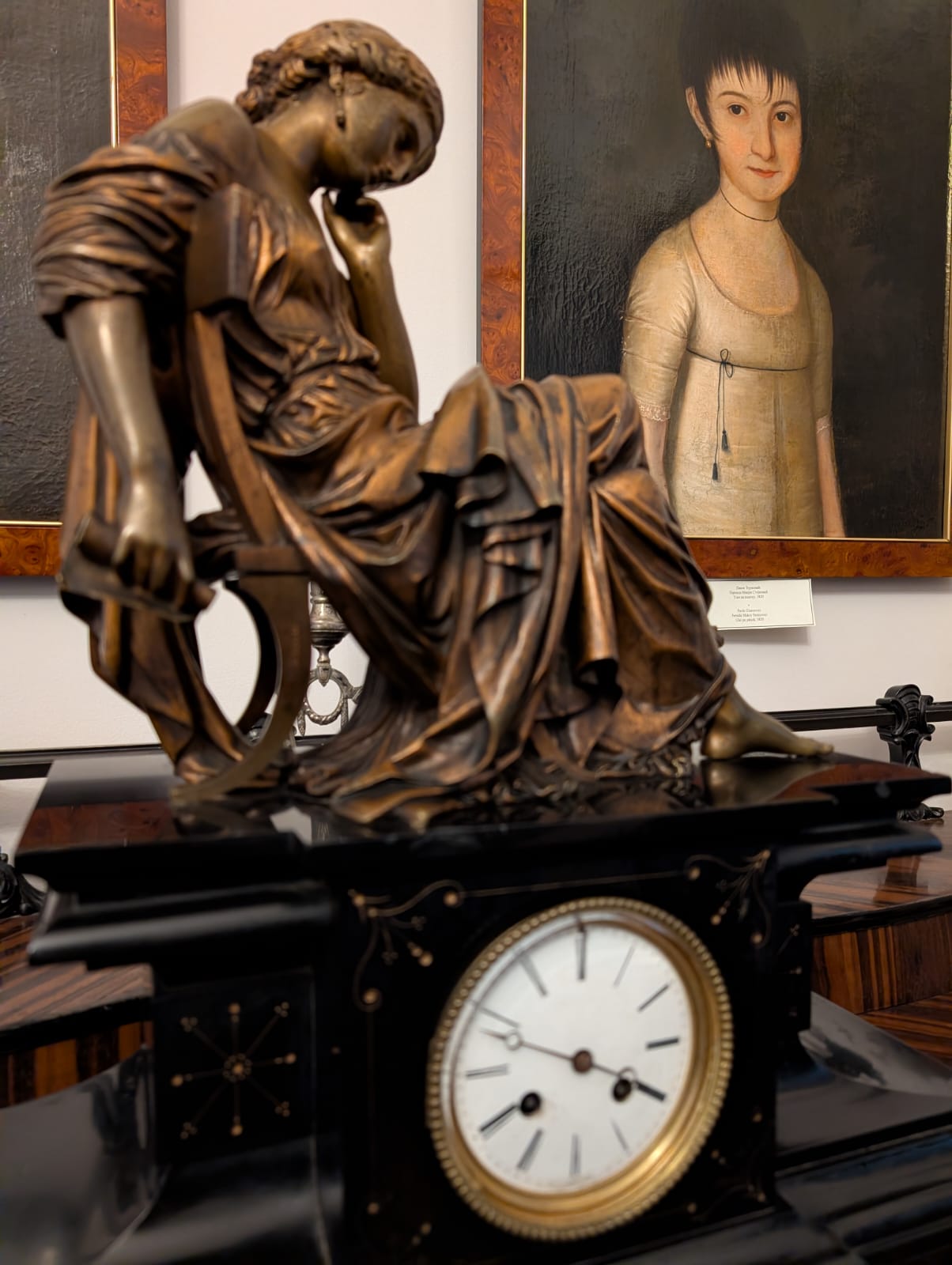 palatul episcopiei sarbe timisoara (3)