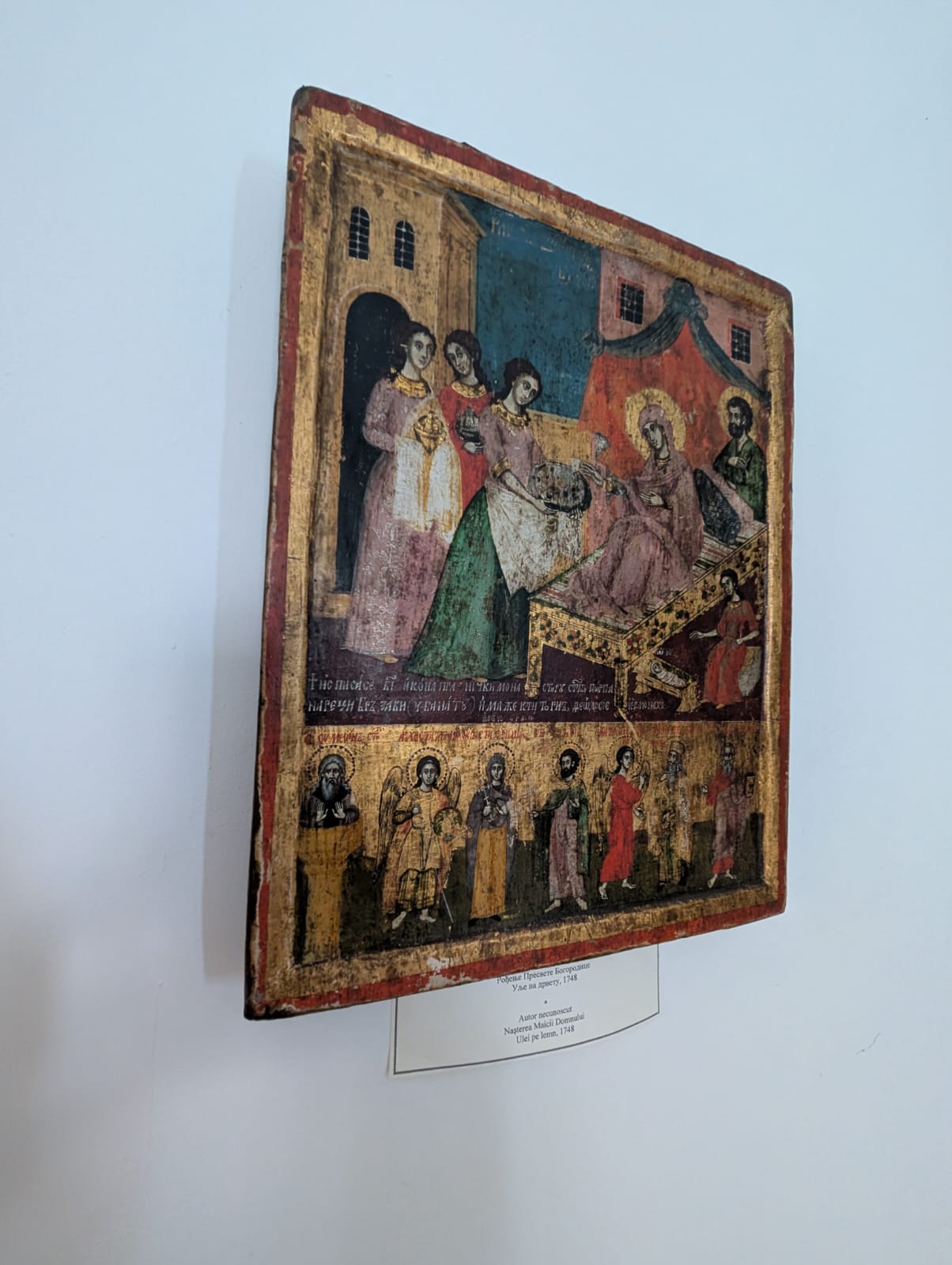 palatul episcopiei sarbe timisoara (5)