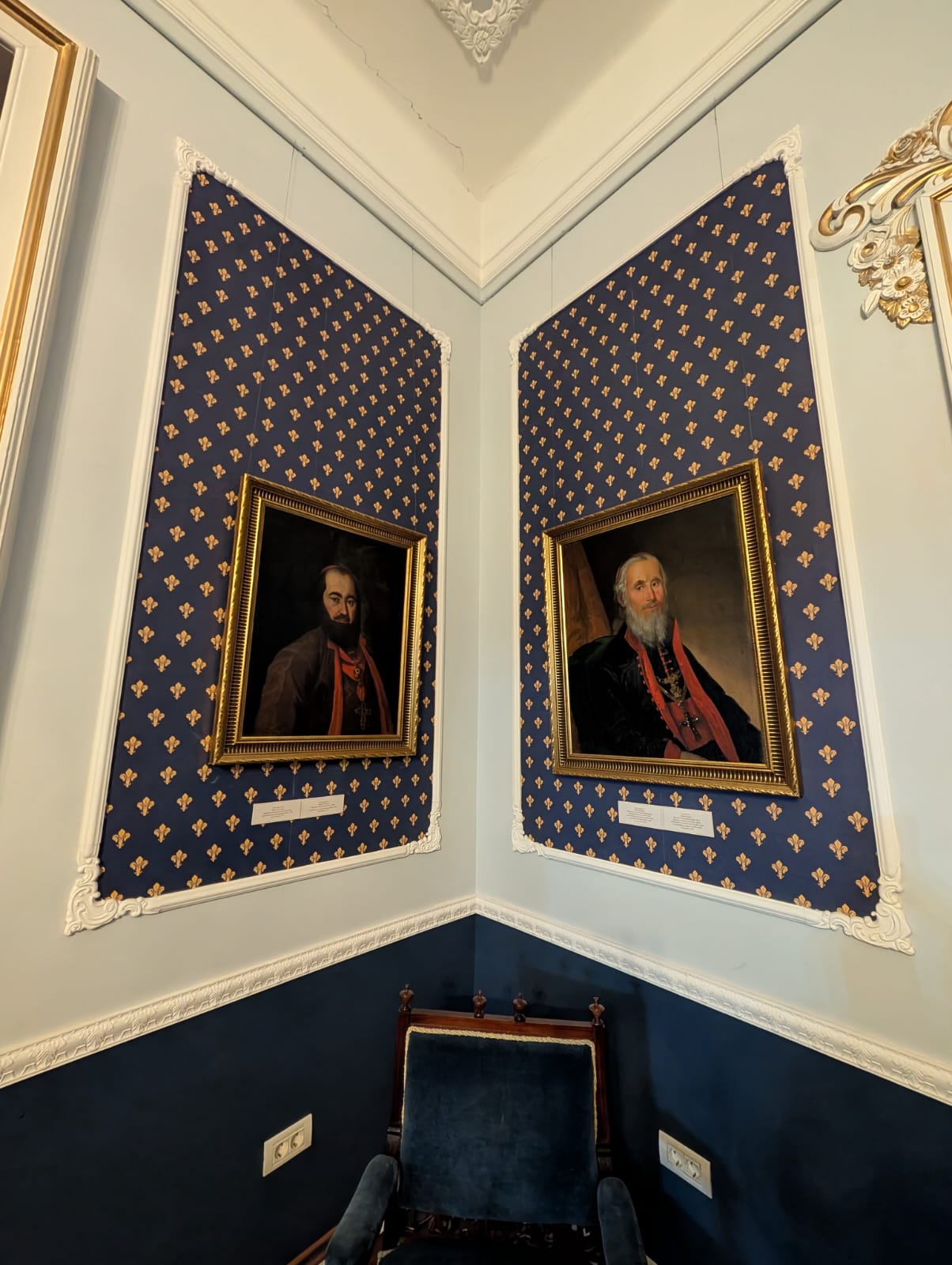 palatul episcopiei sarbe timisoara (8)