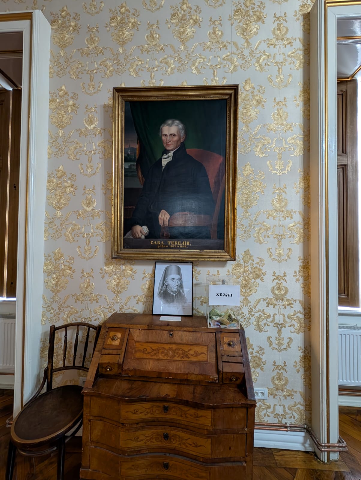 palatul episcopiei sarbe timisoara (10)