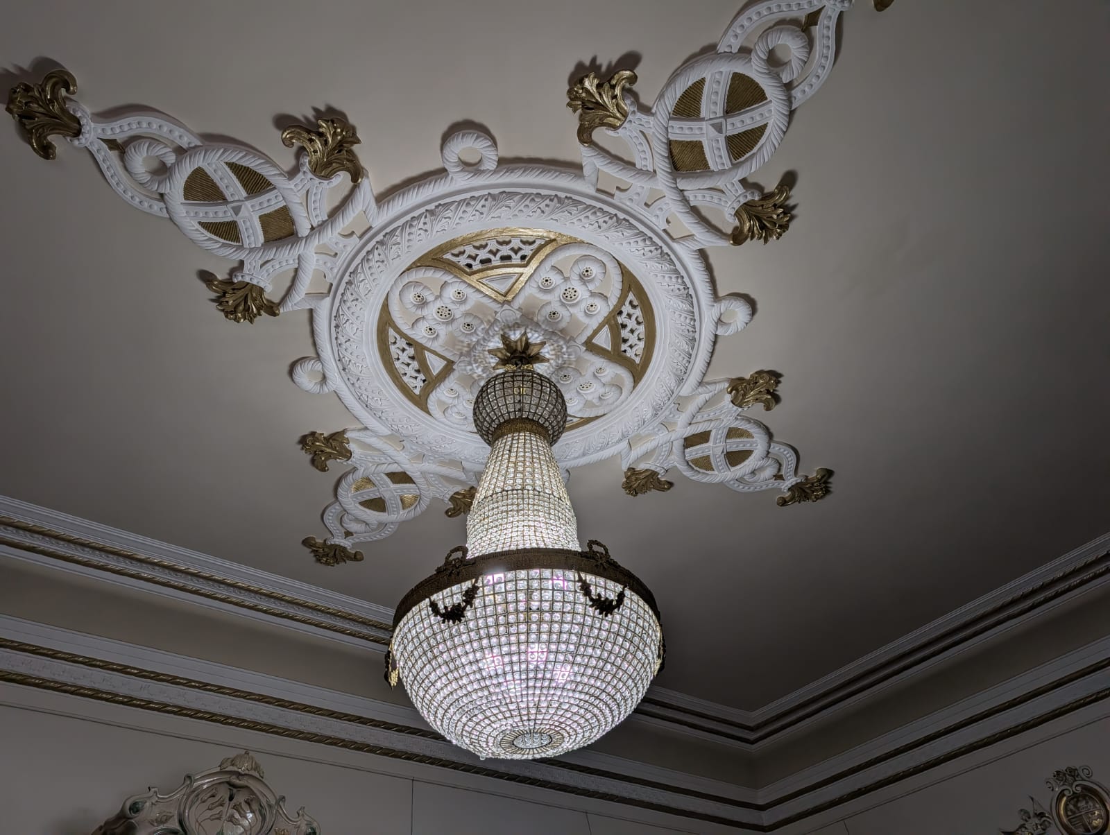 palatul episcopiei sarbe timisoara (17)