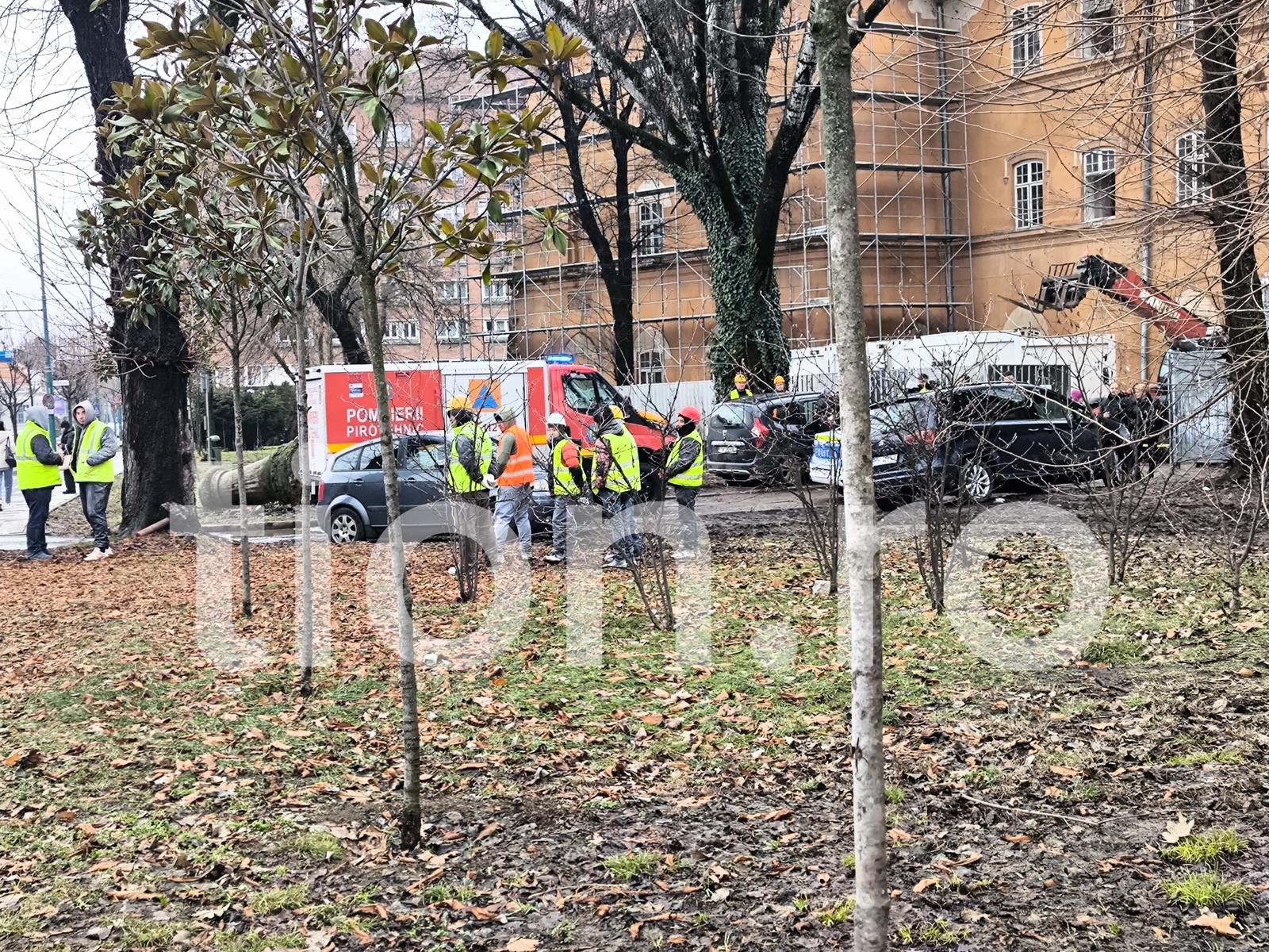 WhatsApp Image 2026-01-27 at 15.02.10 (3)