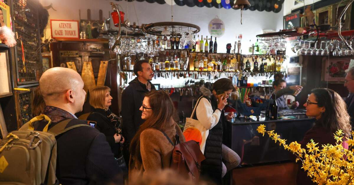 Activitățile din Timișoara pe 15 februarie 2026: Ce surprize ne așteaptă?