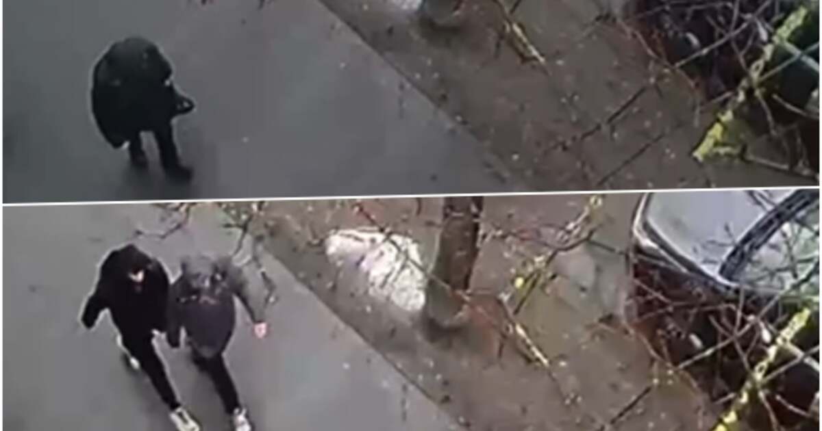 VIDEO: Doi tineri arestați pentru jaf asupra unei femei de 74 de ani în Timișoara