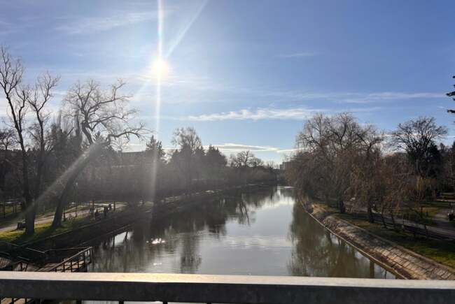 Poza pentru articolul Ce facem astăzi, 2 martie 2026, în Timișoara?