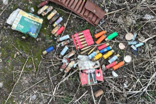 Poza pentru articolul Șapte percheziții în Timiș, într-un dosar privind nerespectarea regimului armelor și al munițiilor