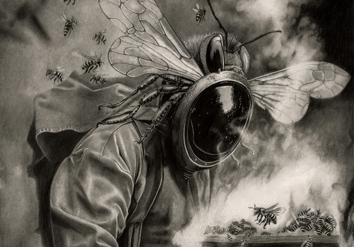 Florin_Dragoi_Mellarius_detaliu