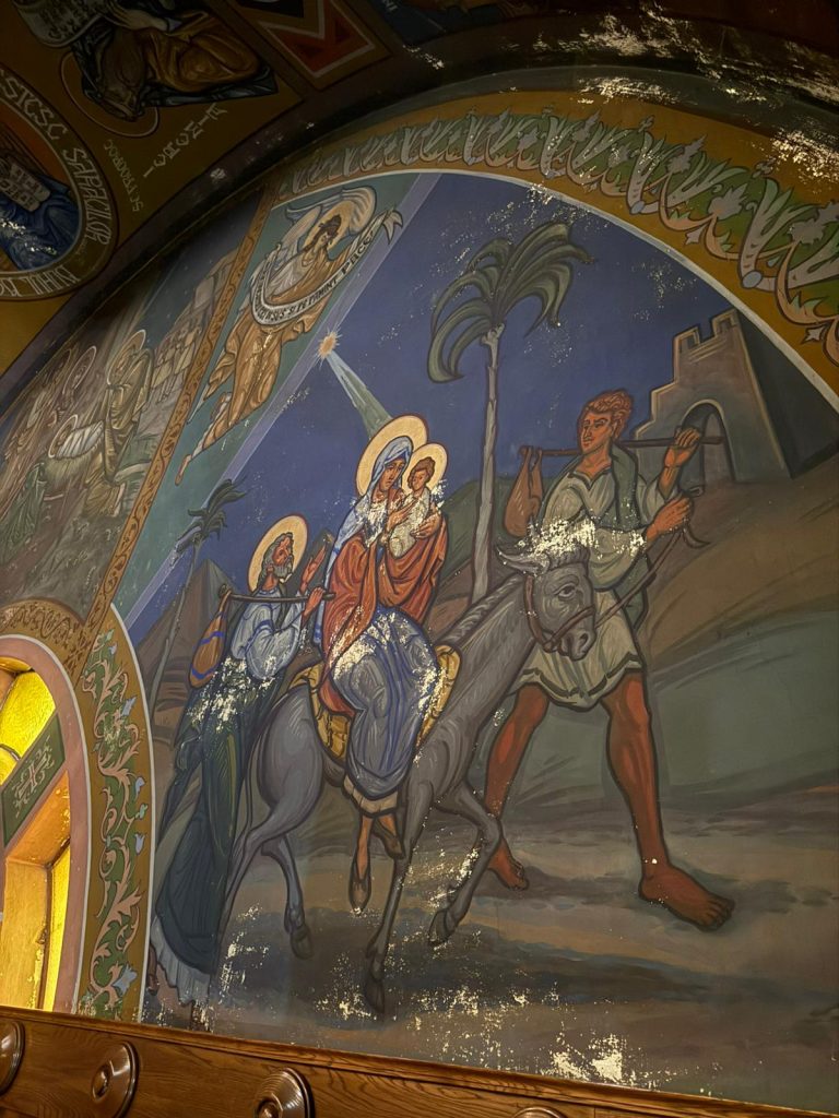 pictura biserica iosefin restaurare (6)