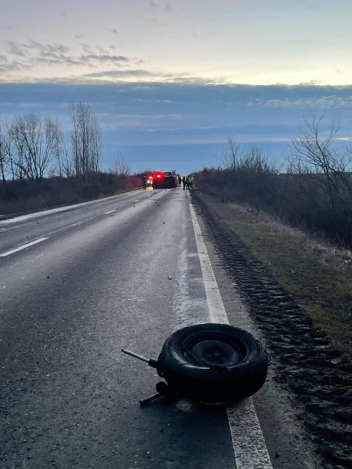 WhatsApp Image 2026-02-11 at 08.30.15