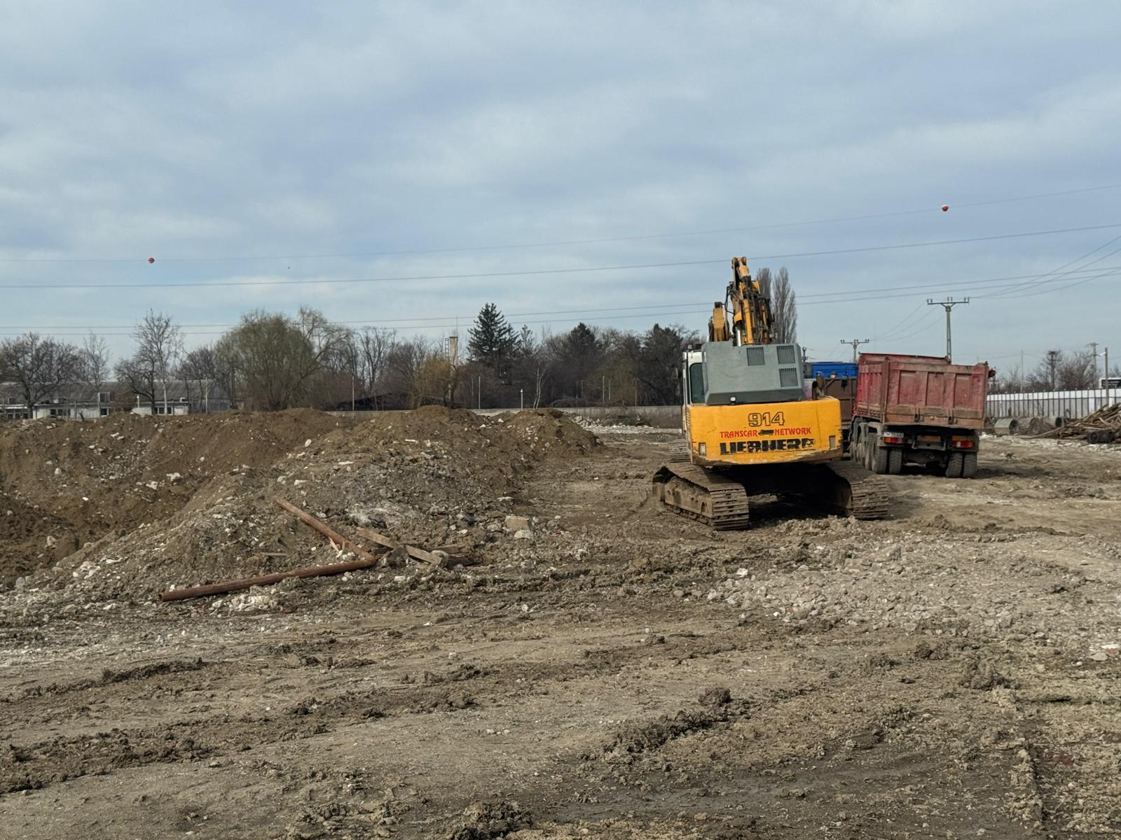 rogobete institutul oncologic timisoara (2)