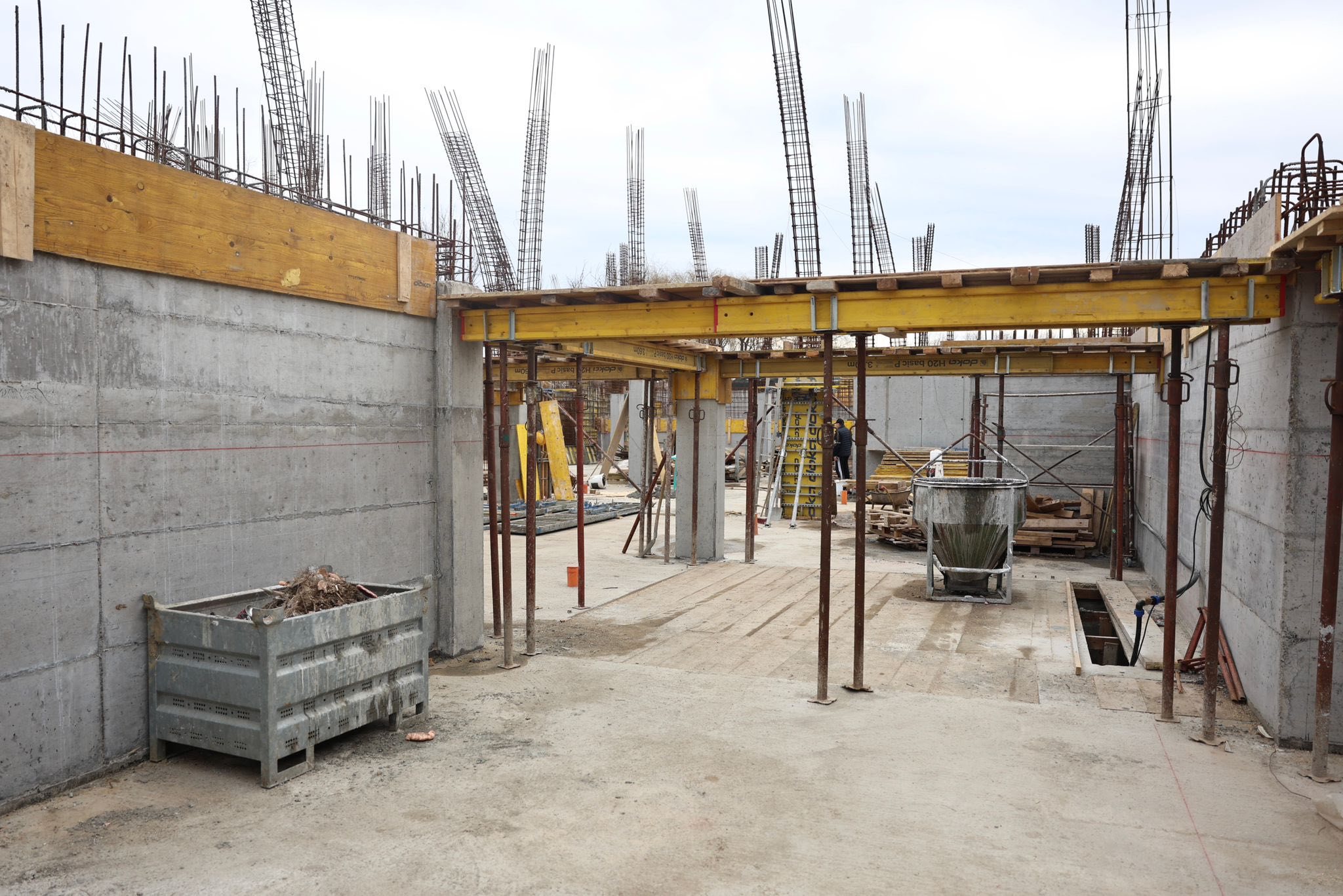 centru recuperare Lovrin (3)