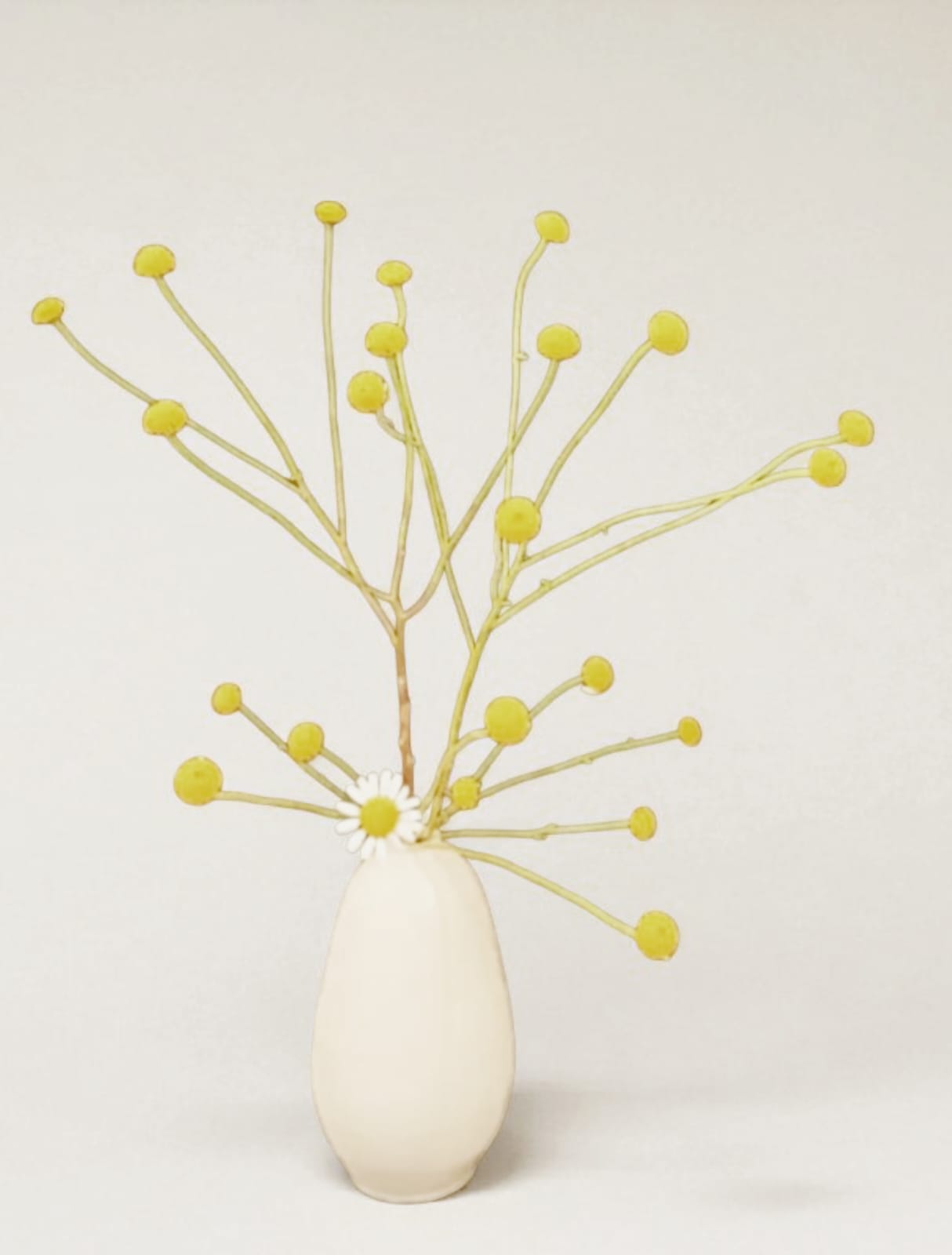 Monica Veress Ikebana (7)