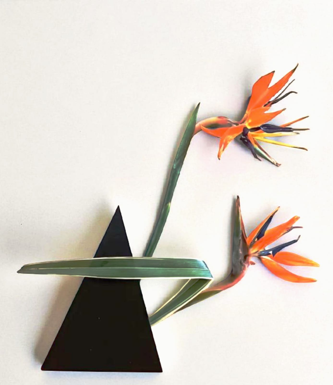 Monica Veress Ikebana (8)