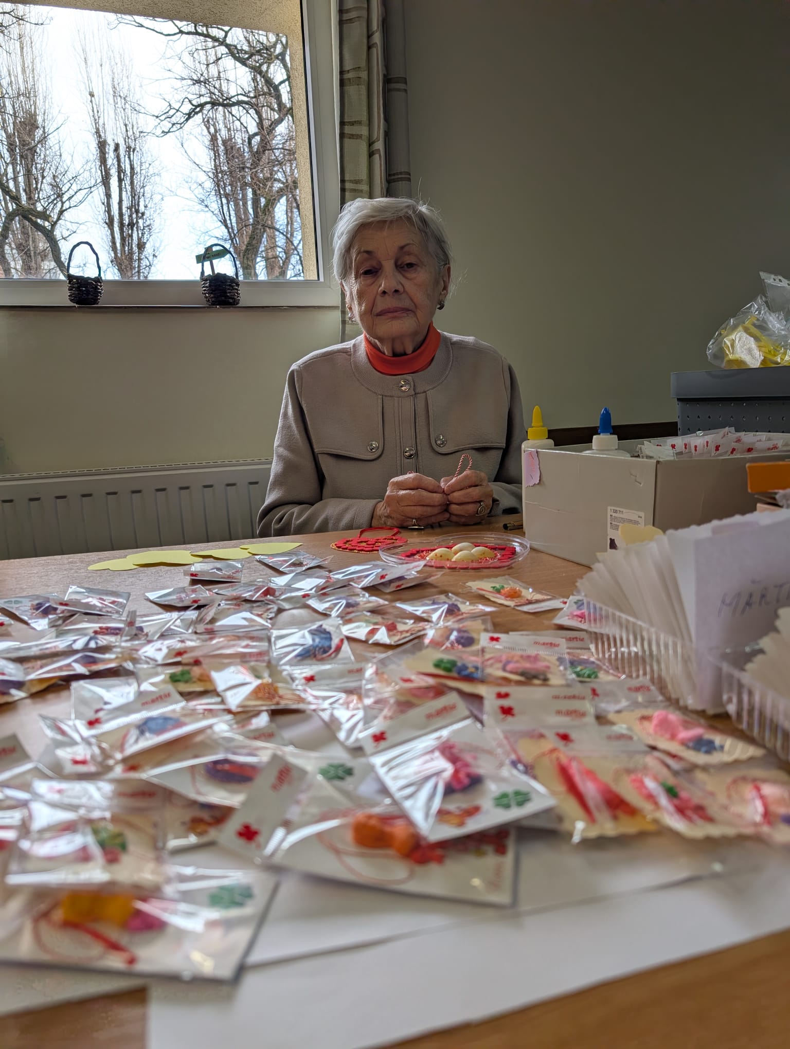 clubul pensionarilor timisoara (3)