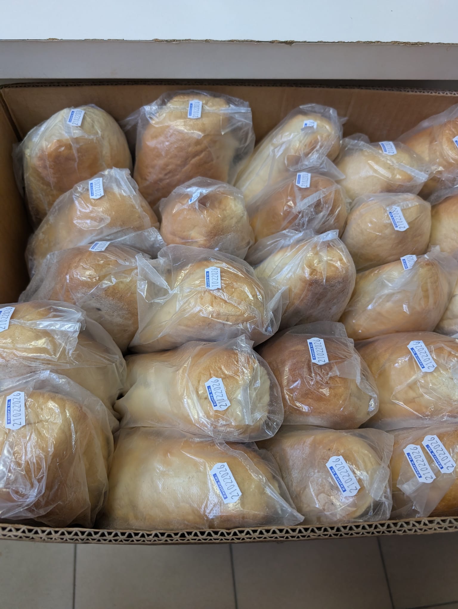 clubul pensionarilor timisoara (5)