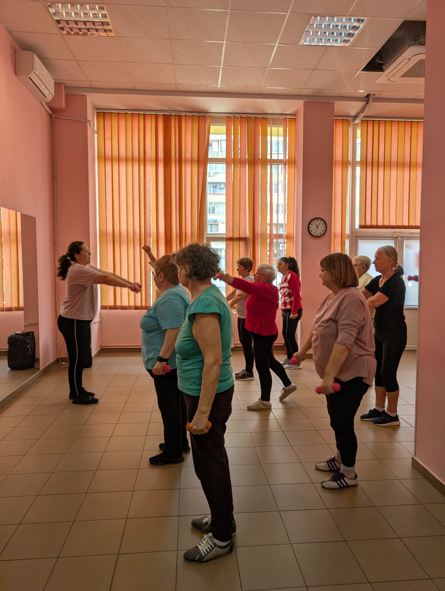 clubul pensionarilor timisoara (12)