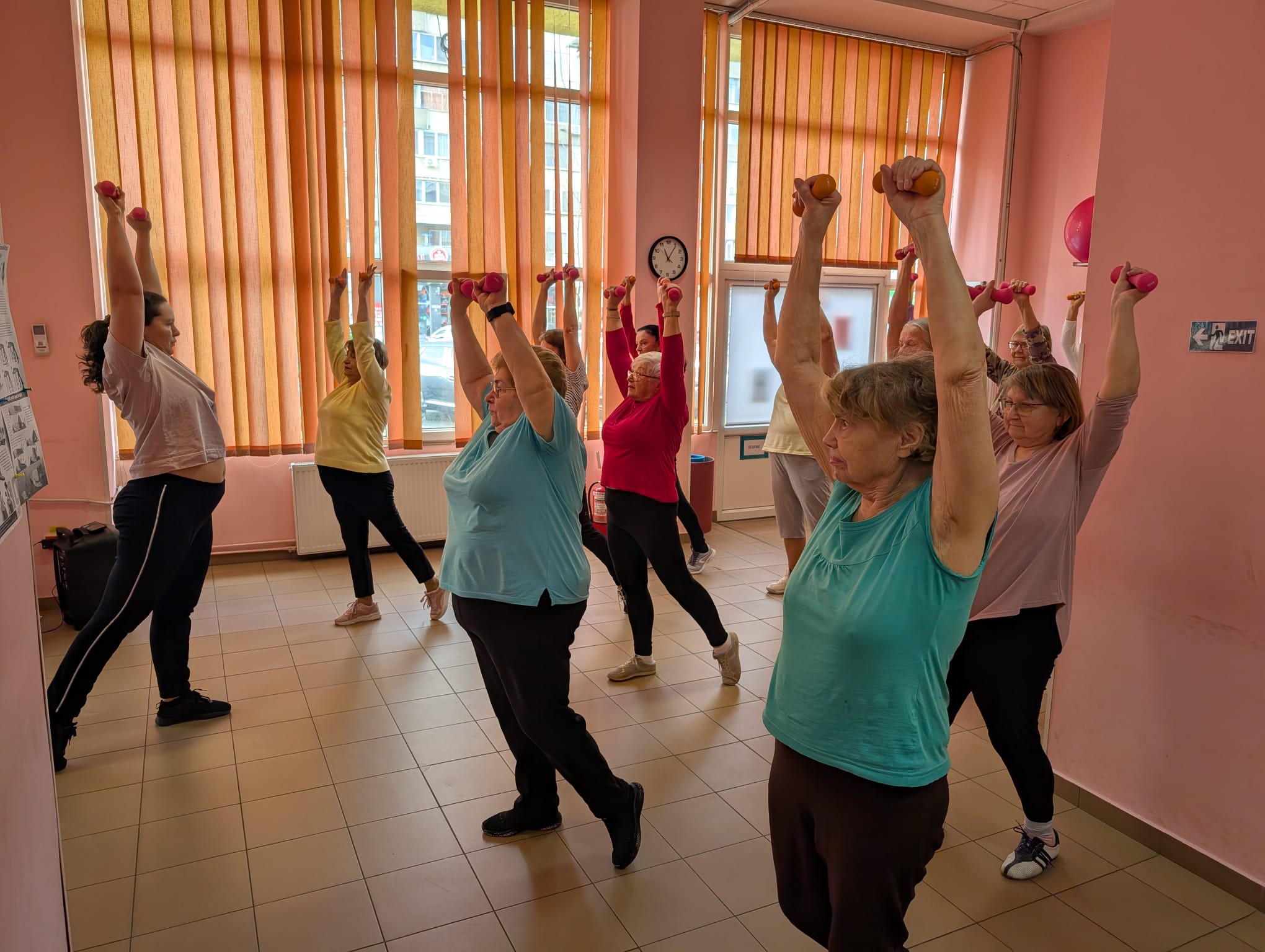 clubul pensionarilor timisoara (14)