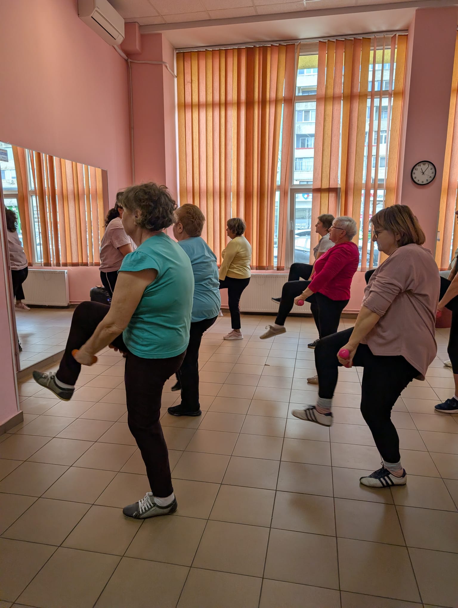 clubul pensionarilor timisoara (16)