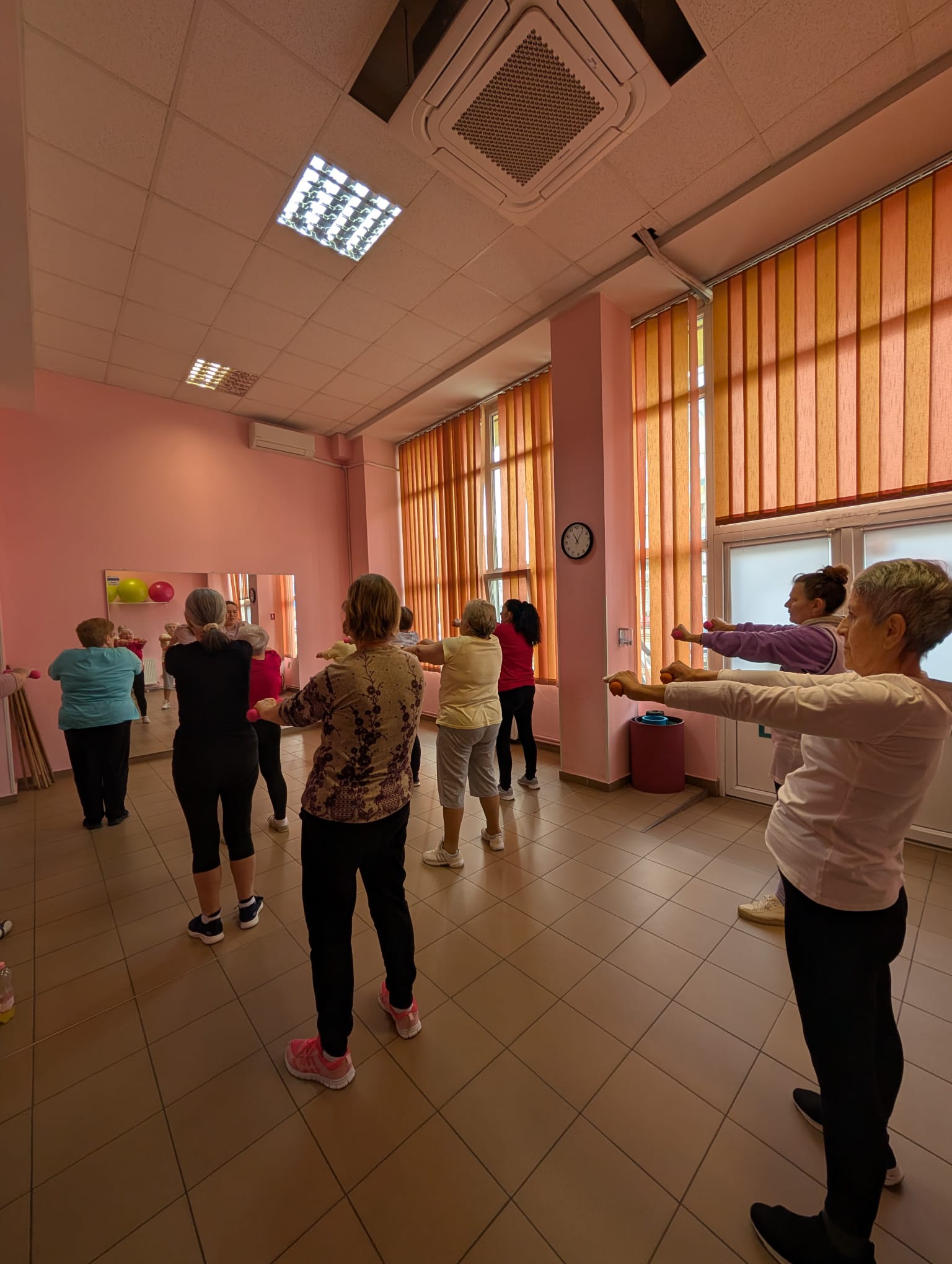 clubul pensionarilor timisoara (17)