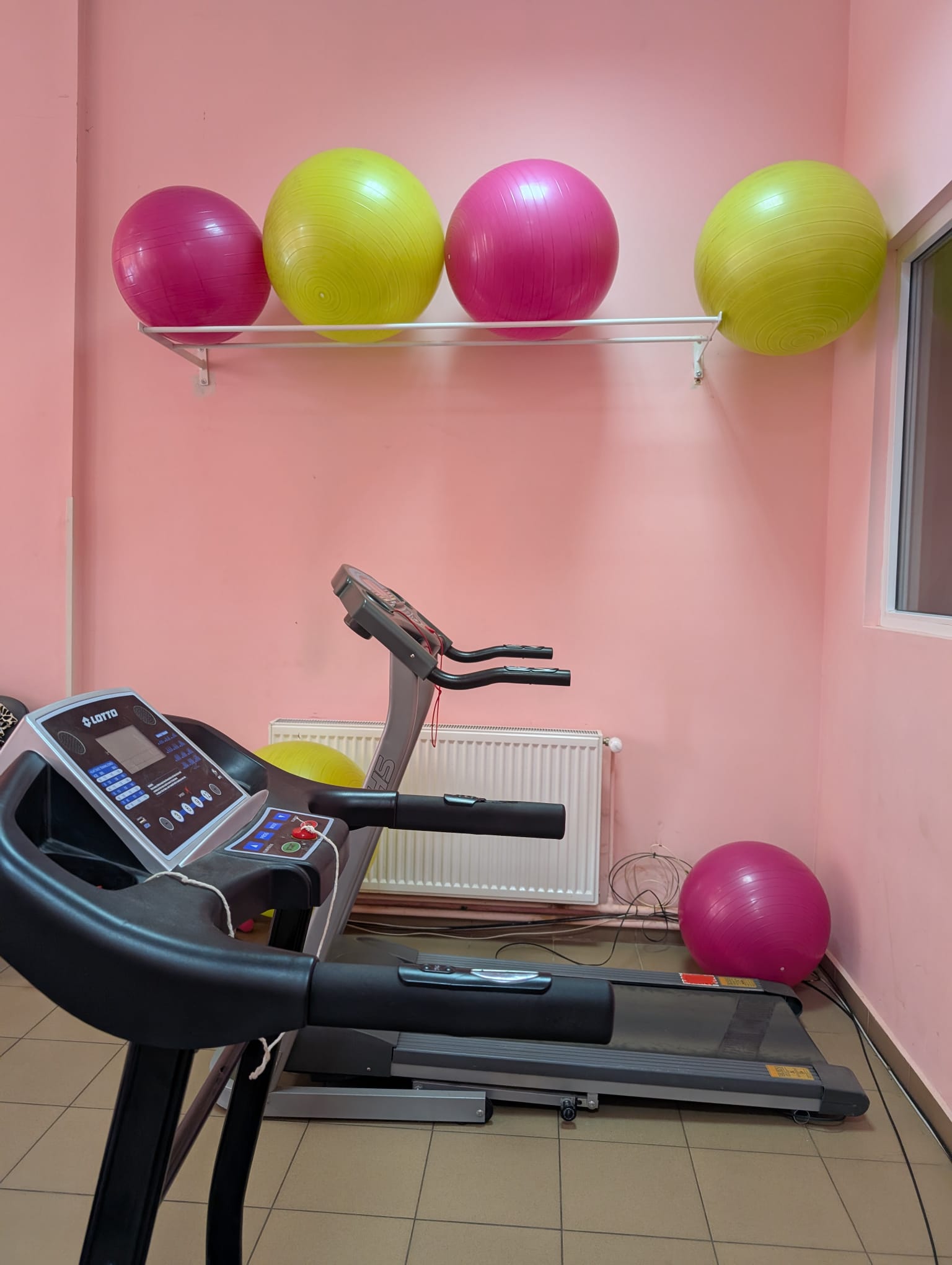 clubul pensionarilor timisoara (18)