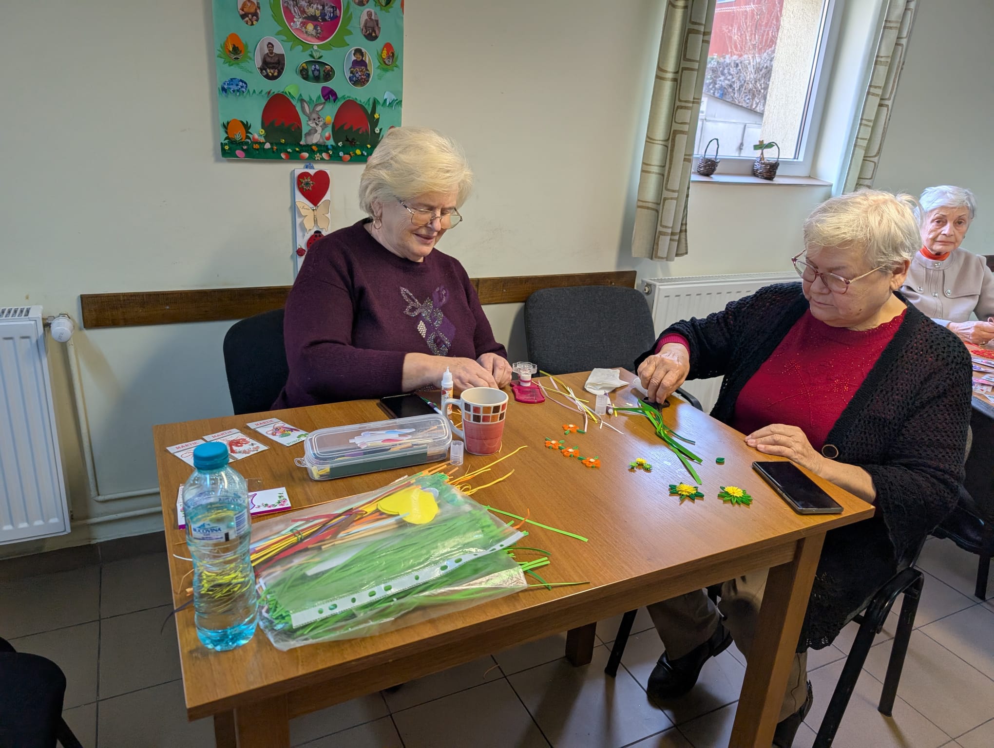 clubul pensionarilor timisoara (19)