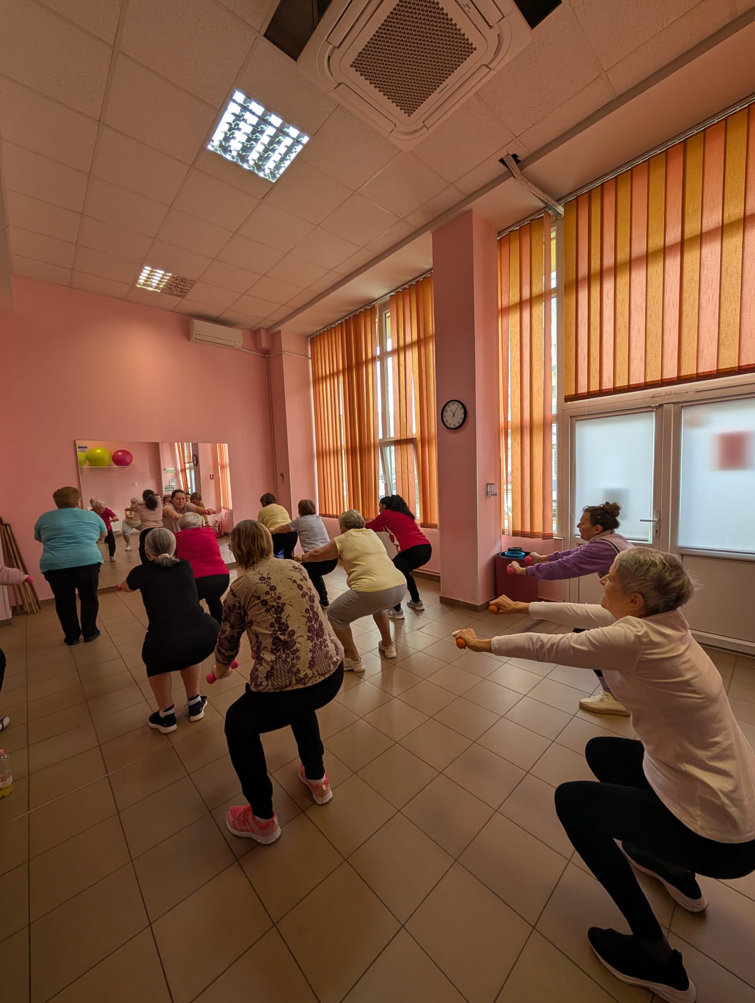 clubul pensionarilor timisoara (21)