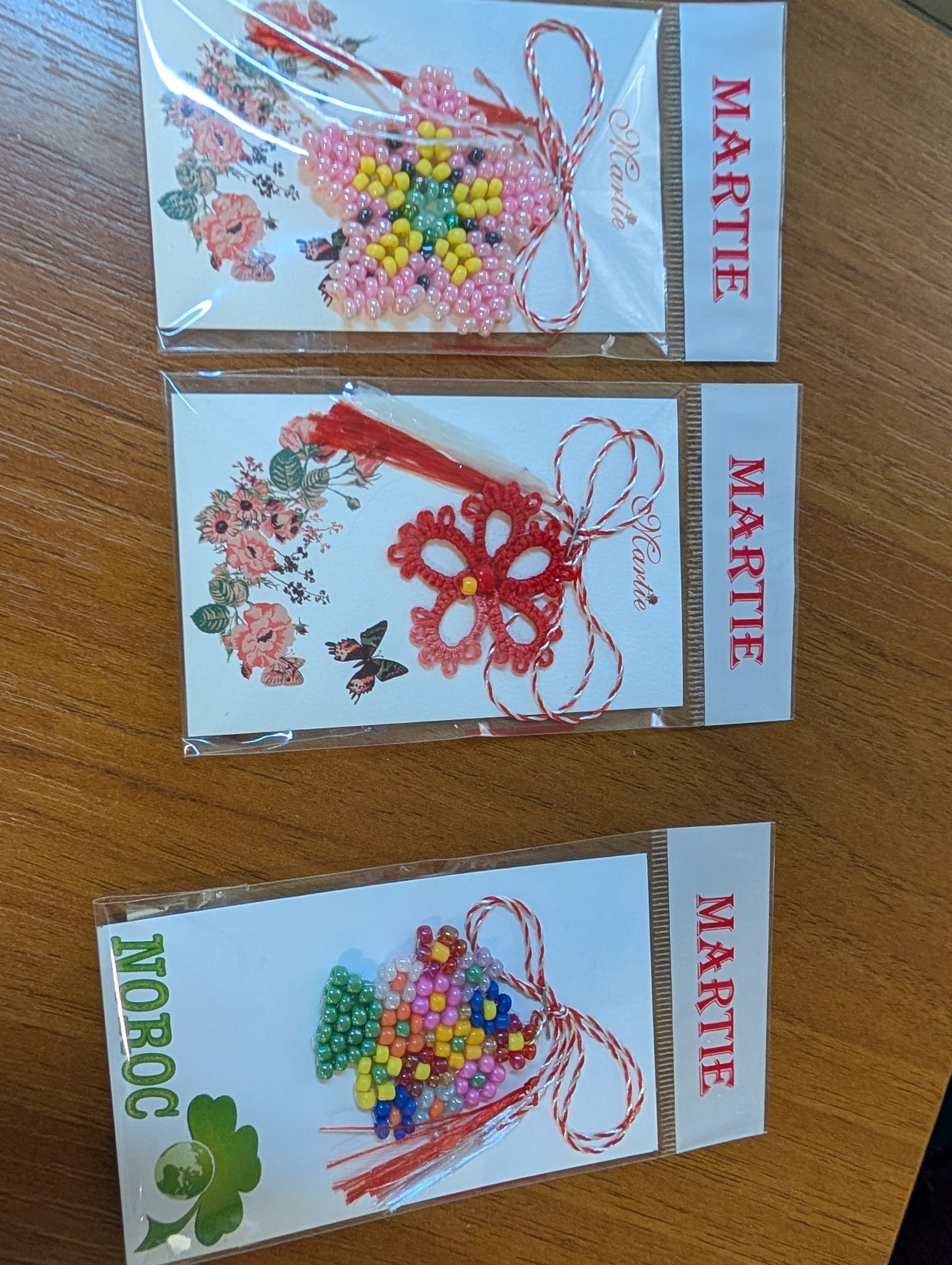 clubul pensionarilor timisoara (22)