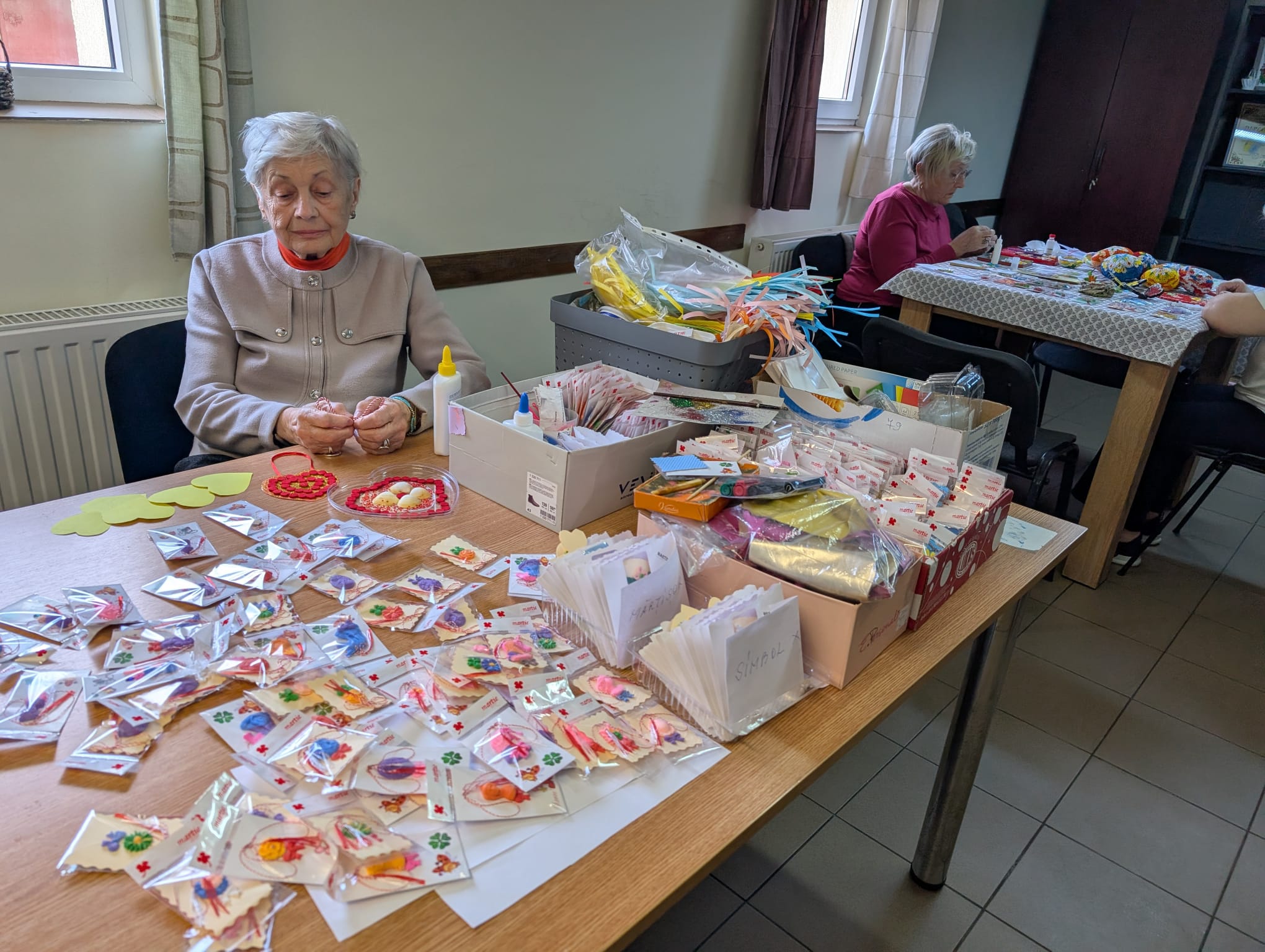 clubul pensionarilor timisoara (23)