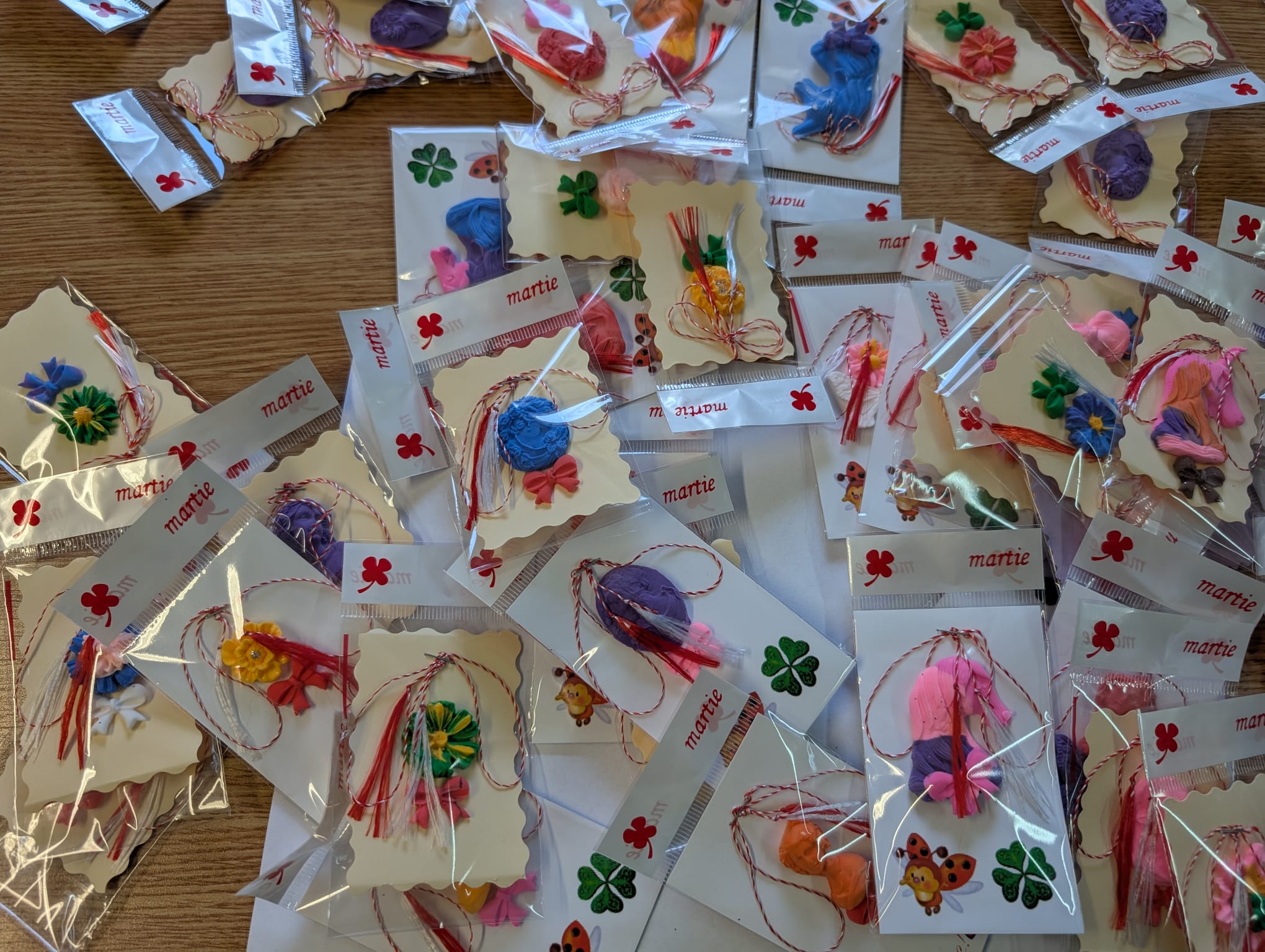 clubul pensionarilor timisoara (24)