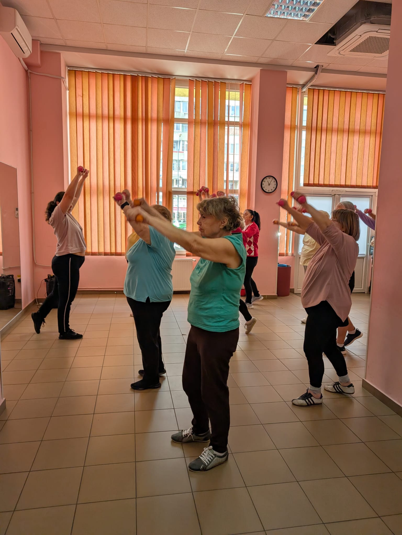 clubul pensionarilor timisoara (29)