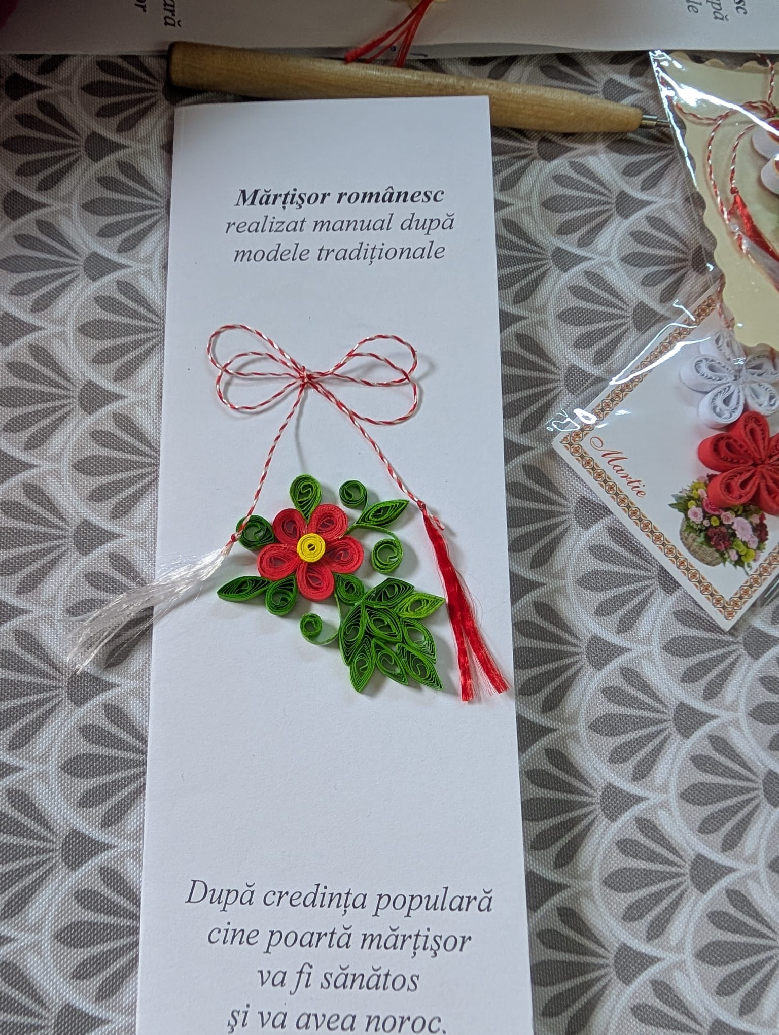 clubul pensionarilor timisoara (31)