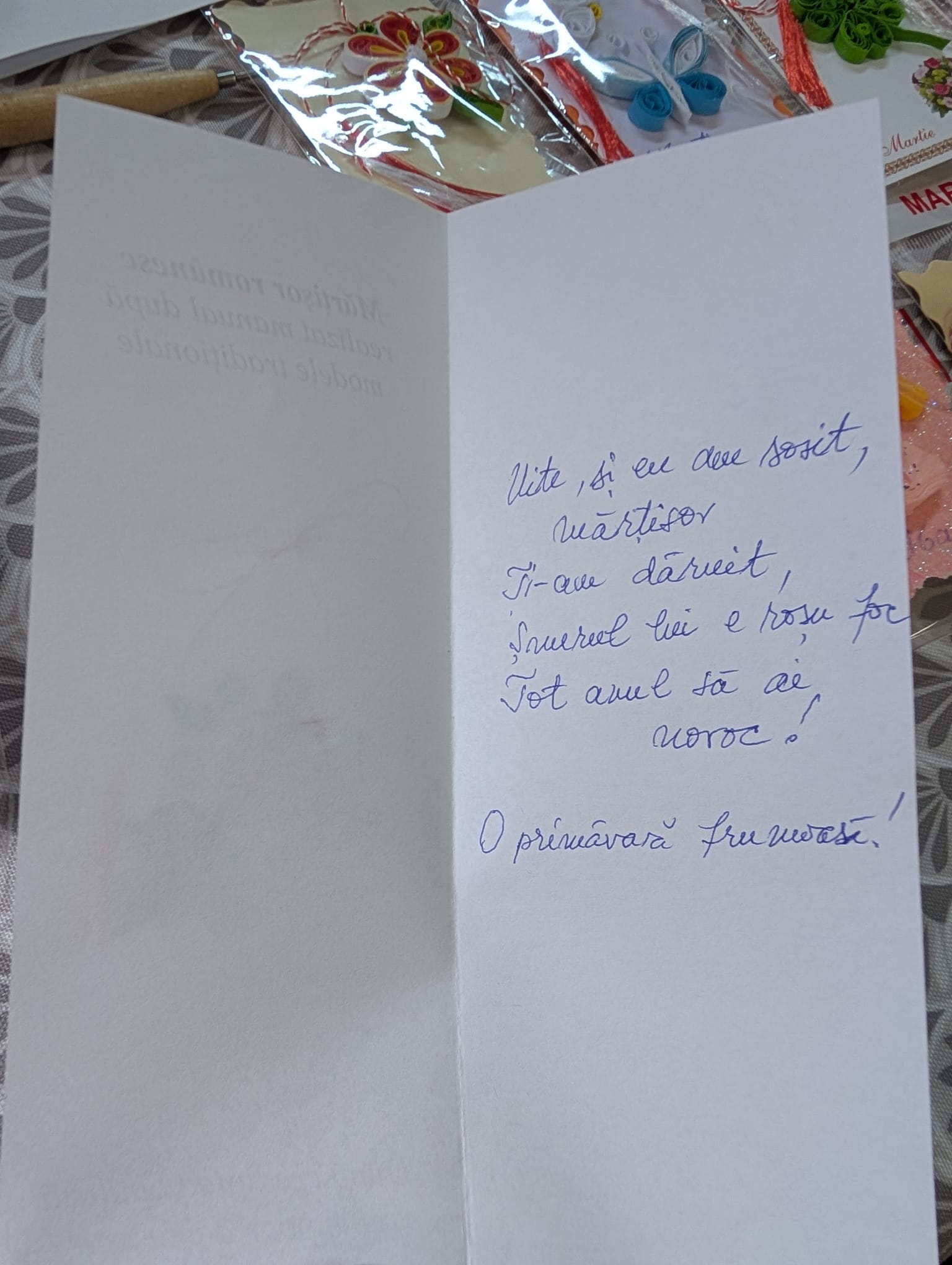 clubul pensionarilor timisoara (32)