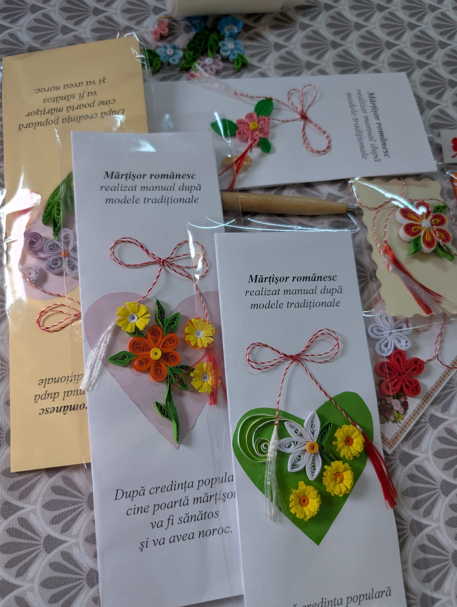 clubul pensionarilor timisoara (33)