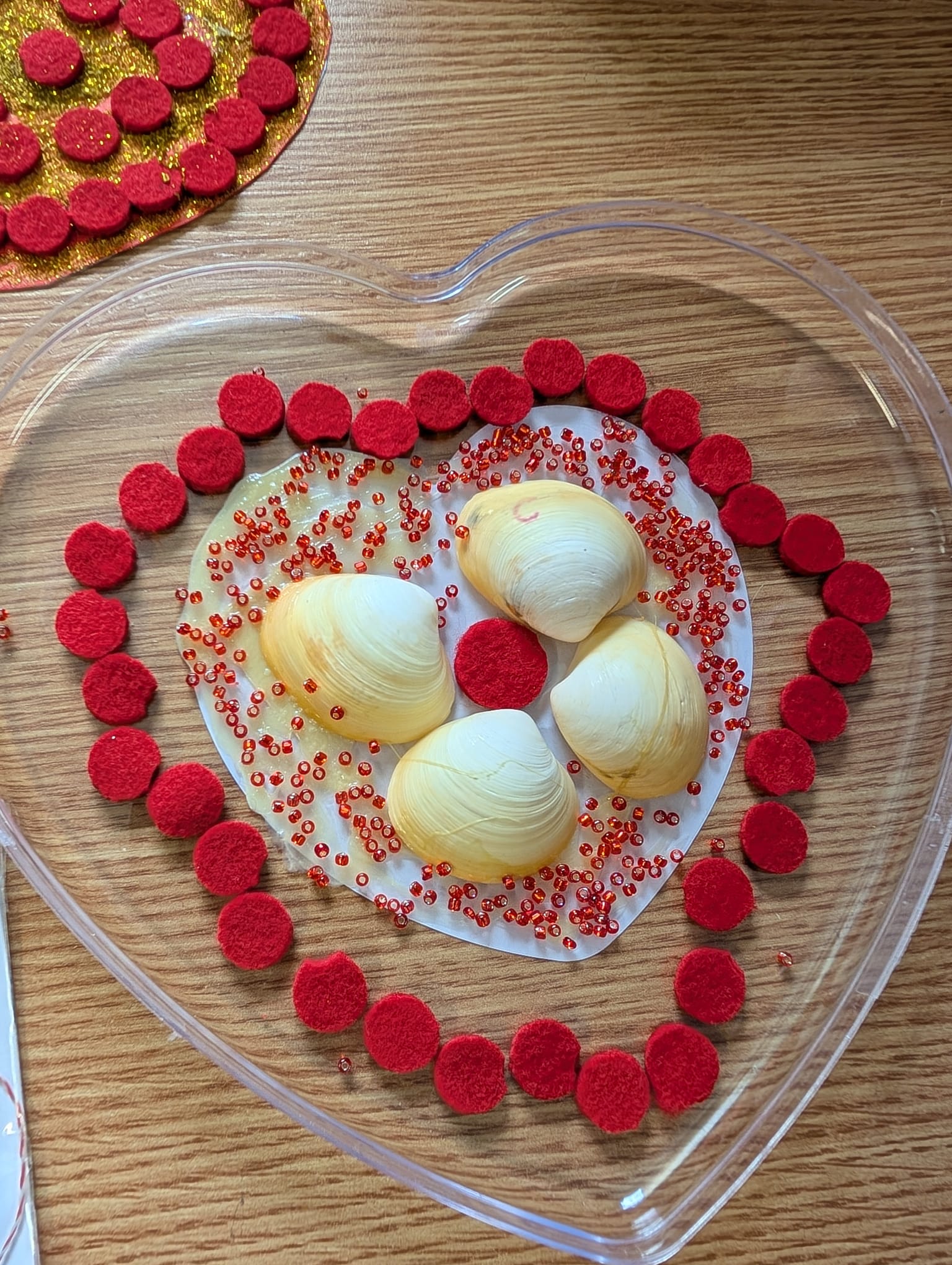 clubul pensionarilor timisoara (35)