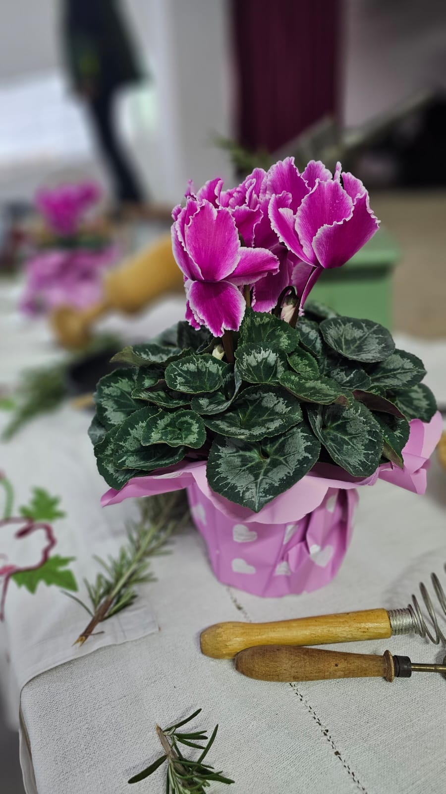 Degustarea cârnaților bănățeni 2026 (5)