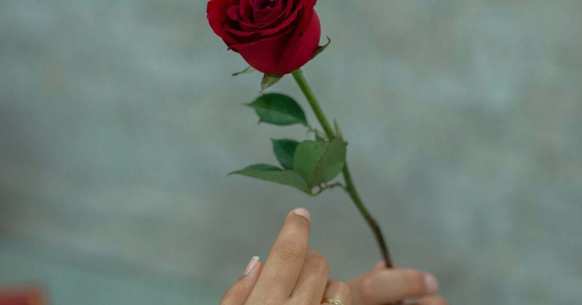 Evenimentele special organizate în Timișoara de 8 martie 2026: ce nu trebuie să ratezi? Evenimentele special organizate în Timișoara de 8 martie 2026: ce nu trebuie să ratezi?