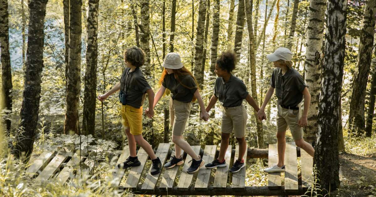 CJ Timiș persistă în eforturile de modernizare a taberelor școlare din patru locații. CJ Timiș persistă în eforturile de modernizare a taberelor școlare din patru locații.