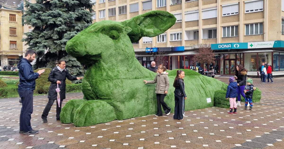 Ce evenimente ne așteaptă astăzi, 29 martie 2026, în Timișoara?