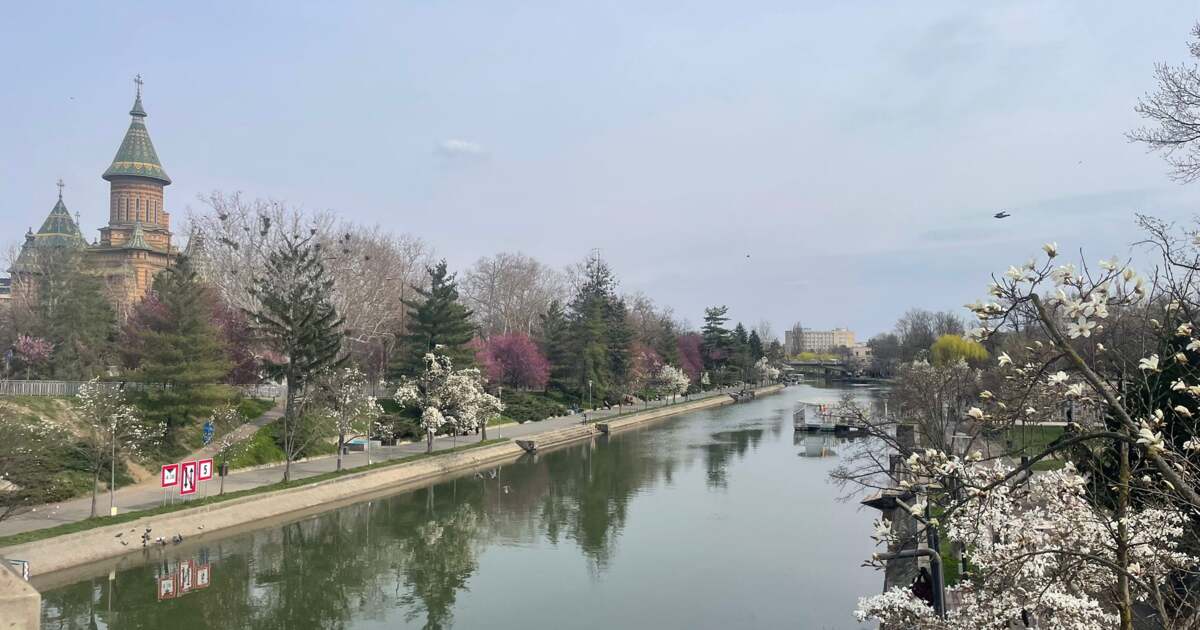 Ce evenimente captivante ne așteaptă astăzi, 18 martie 2026, în Timișoara? Ce evenimente captivante ne așteaptă astăzi, 18 martie 2026, în Timișoara?