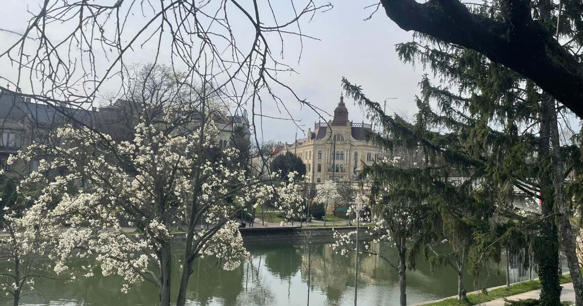 Ce activități se desfășoară astăzi, 23 martie 2026, în Timișoara? Ce activități se desfășoară astăzi, 23 martie 2026, în Timișoara?