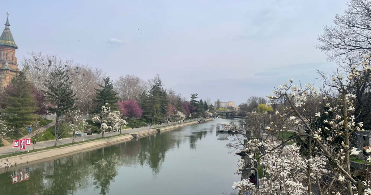 Evenimente curioase în Timișoara: ce ne aduce ziua de 22 martie 2026? Evenimente curioase în Timișoara: ce ne aduce ziua de 22 martie 2026?