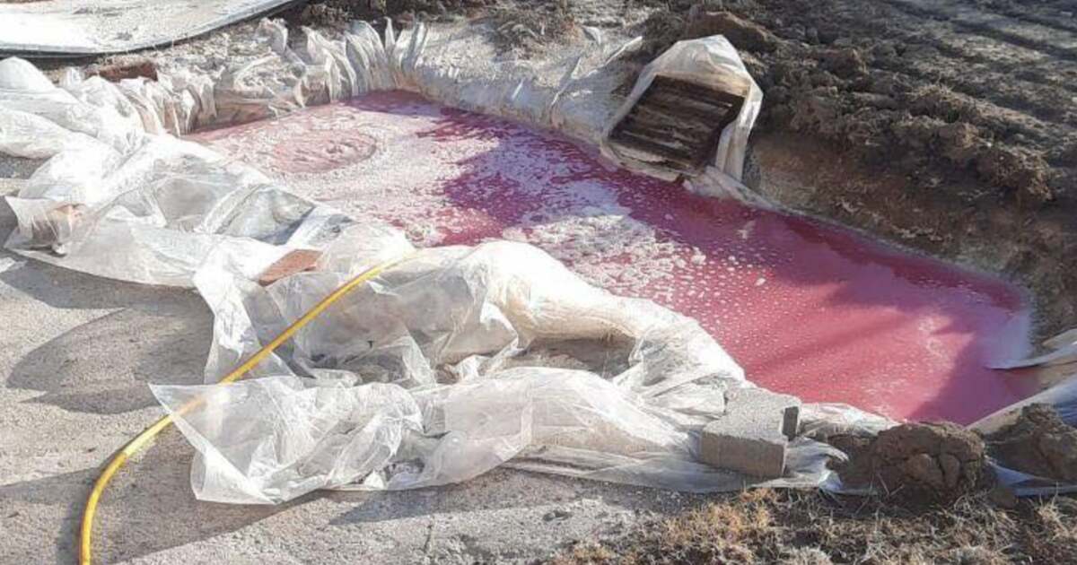 Alertă în Lugoj: un miros puternic de clor la Uzina de Apă nr. 3. Intervenție urgentă! Alertă în Lugoj: un miros puternic de clor la Uzina de Apă nr. 3. Intervenție urgentă!