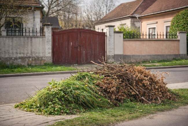 Poza pentru articolul Curățenia de primăvară începe la Lugoj. Program pentru colectarea deșeurilor vegetale pe domeniul public